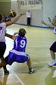 Basket 252070